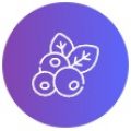 Blueberries