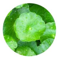 Centella