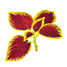 Untitled-1-2-min Untitled-1-2-min