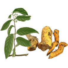 slidernew2ic-min slidernew2ic-min